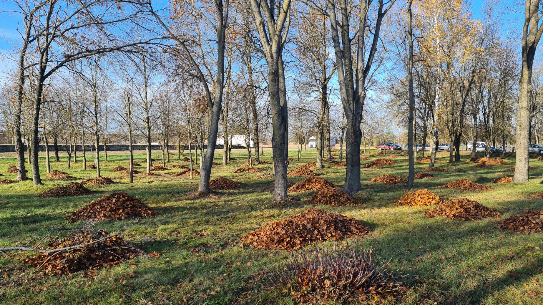 0-02-05-13763e4d960b0739eb062dcdce0f4a9ccfb4f8ff8e8cc423720f88c3eaf175e0_3434793e80489272.jpg 0-02-05-13763e4d960b0739eb062dcdce0f4a9ccfb4f8ff8e8cc423720f88c3eaf175e0_3434793e80489272.jpg