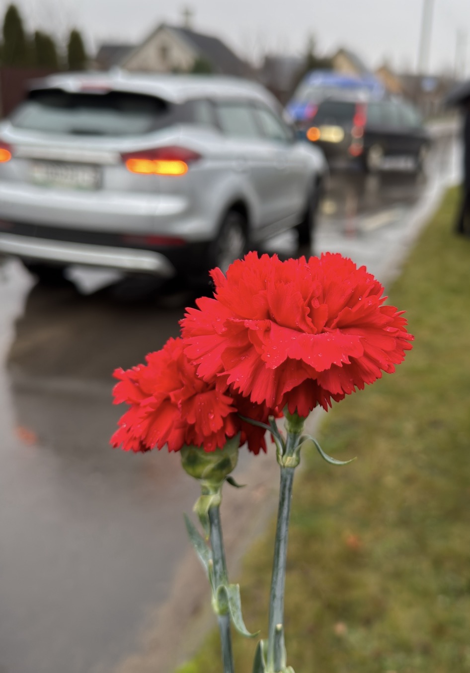 изображение_viber_2025-12-09_12-36-11-907.jpg изображение_viber_2025-12-09_12-36-11-907.jpg